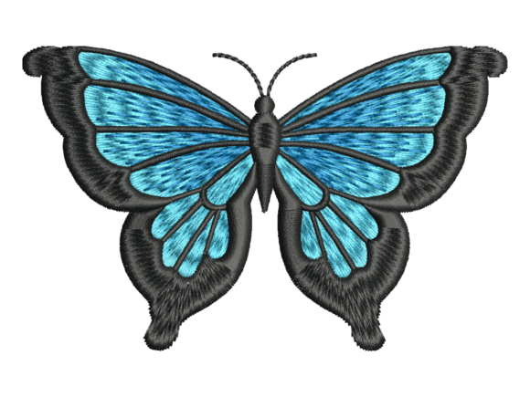 Black Blue Butterfly Embroidery