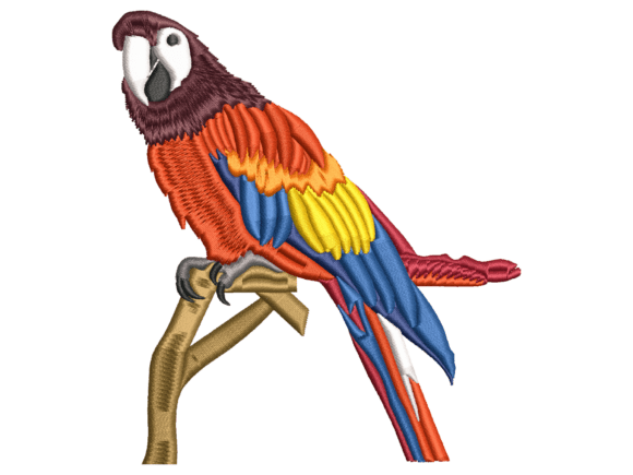 Scarlet Macaw Bird Embroidery